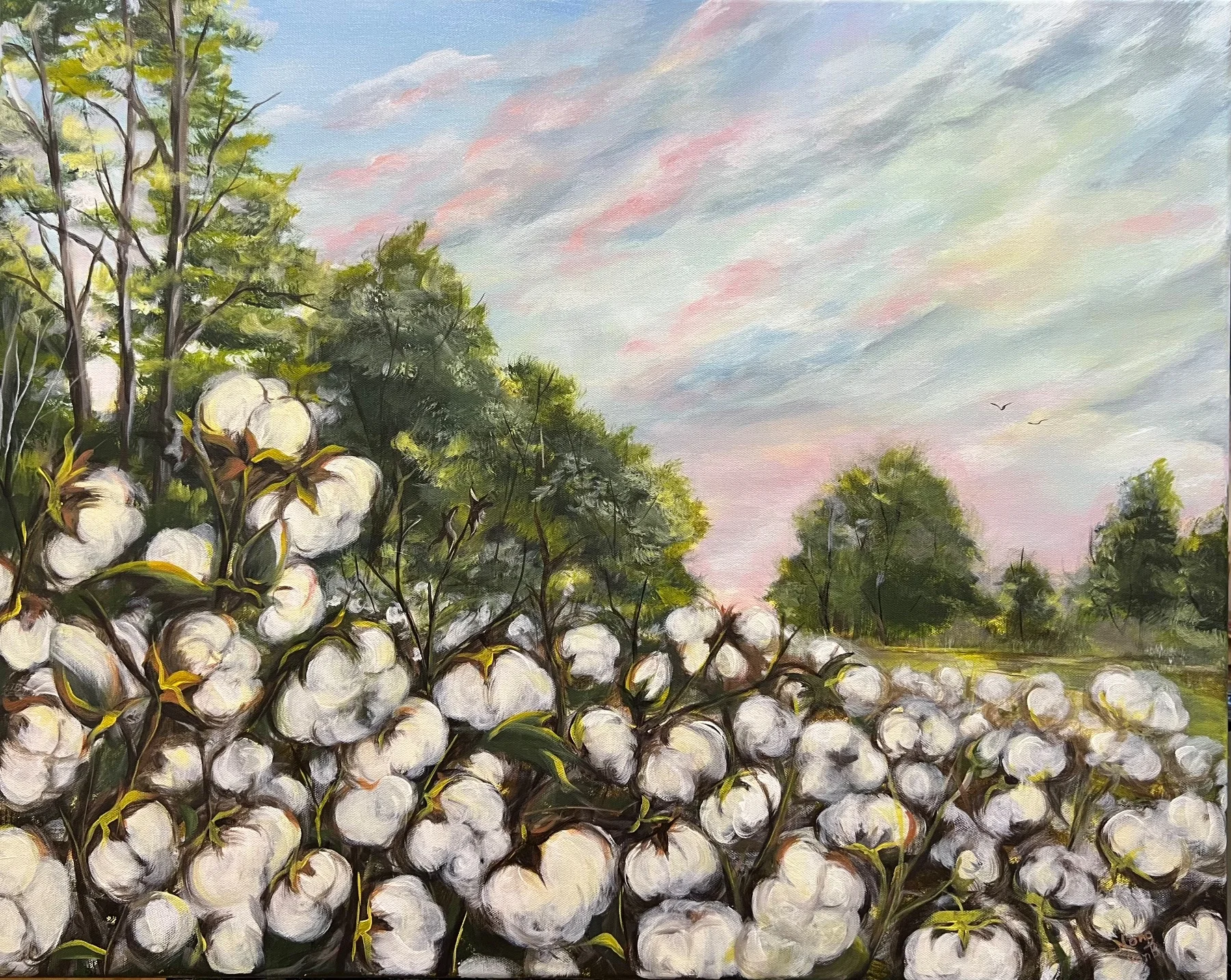 Cotton field