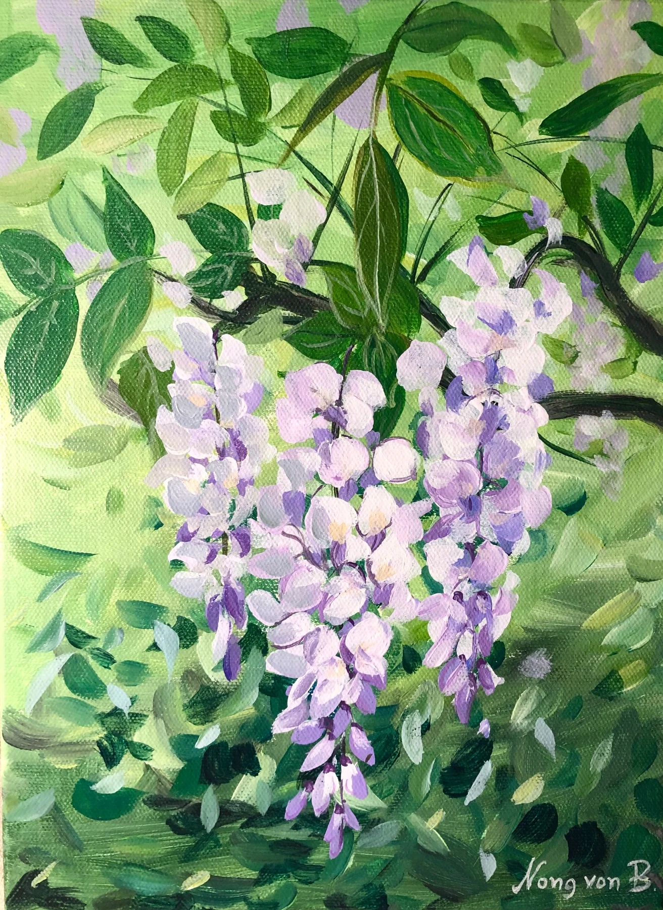 Wisteria
